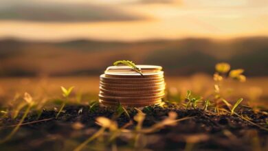 The SEC’s Final Climate Disclosure Rule’s First Filing Cycle: Burden and Opportunity for Middle-Market Firms The SEC’s Final Climate Disclosure Rule’s First Filing Cycle: Burden and Opportunity for Middle-Market Firms