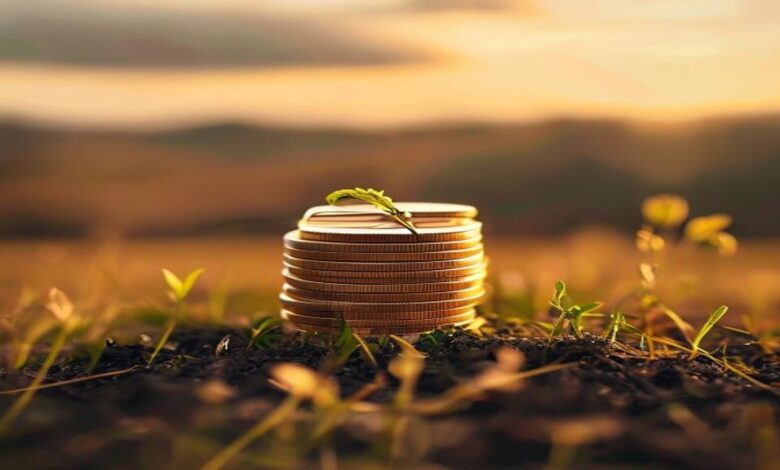 The SEC’s Final Climate Disclosure Rule’s First Filing Cycle: Burden and Opportunity for Middle-Market Firms